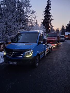 FLOMYN SERVICII TRANSPORT SRL
