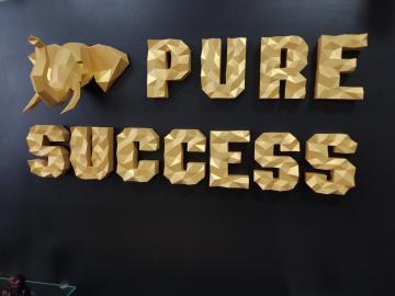 PURE SUCCESS SRL